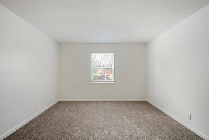 Bright and spacious empty room with neutral walls, plush carpet, and a window offering a serene view, perfect for personalization.