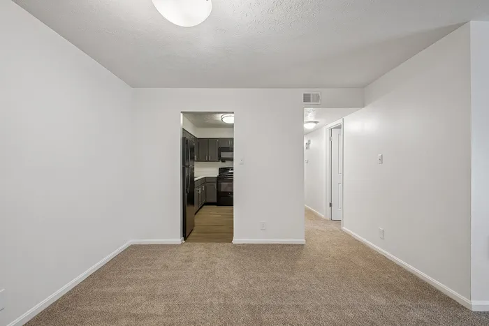 Inviting apartment interior with plush carpet flooring, leading to a modern kitchen with sleek appliances.