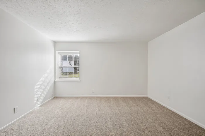 Bright, spacious room with fresh carpeting and a large window, perfect for a cozy bedroom or a creative workspace.