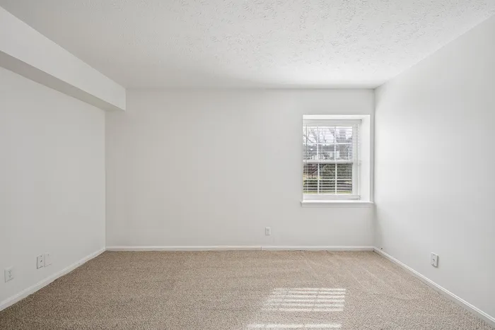 Bright, minimalist room with plush carpet and a sunlit window offering serene garden views.
