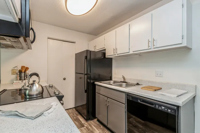 Modern kitchen with elegant black appliances, sleek white cabinetry, and stylish granite countertops.