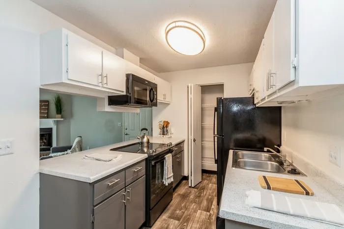 Modern kitchen with sleek countertops, stainless steel appliances, and ample storage, perfect for culinary enthusiasts.