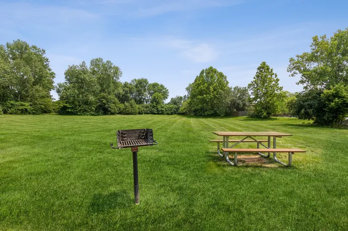 Expansive grassy park area with picnic table and barbecue grill, surrounded by lush trees under a clear blue sky.