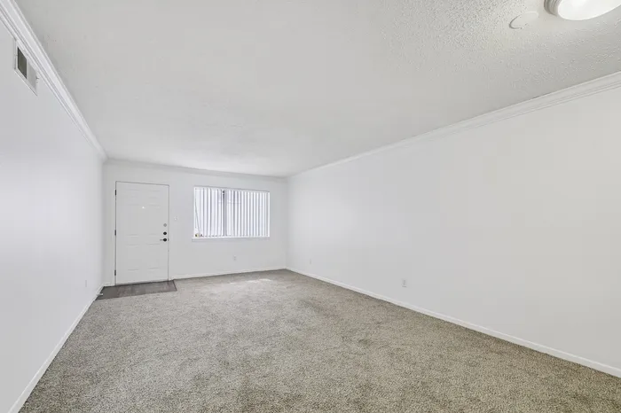 Bright, spacious living room with plush carpet and natural light from large window, ideal for relaxation.