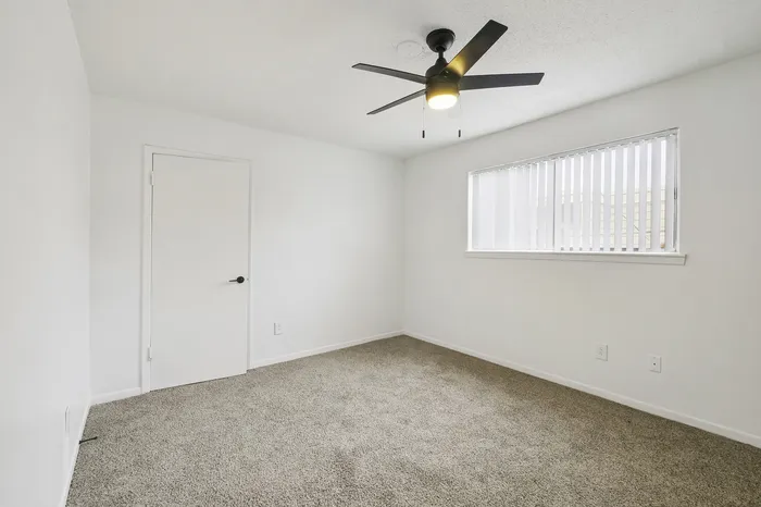 Bright and inviting bedroom with plush carpet, sleek ceiling fan, and ample natural light from a large window.