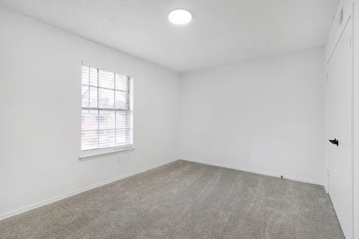 Bright, inviting bedroom with plush carpet and large window, perfect for relaxation and comfort.