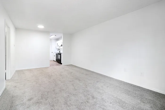 Bright living area with plush carpet and a view into a modern kitchen, showcasing an inviting and spacious design.