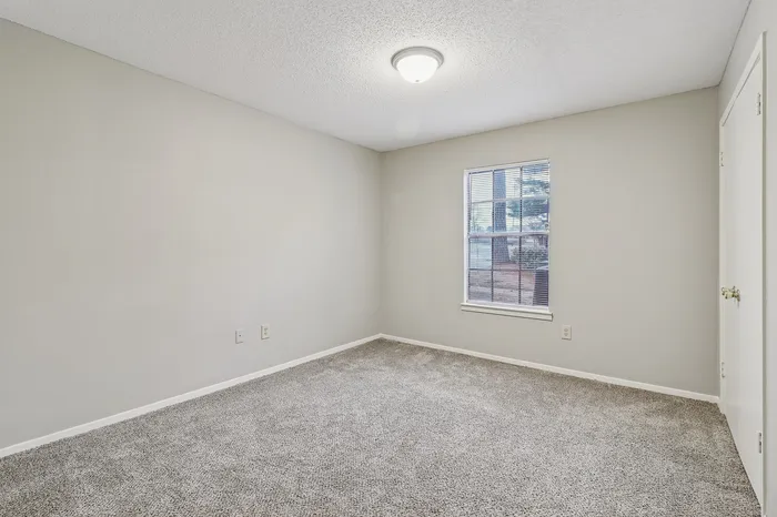Cozy bedroom with plush carpet, neutral walls, and natural light from a large window.