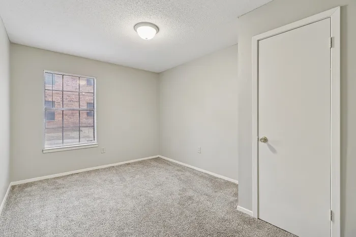 Bright and cozy bedroom featuring neutral-toned carpet, a single window, and a simple closet door.