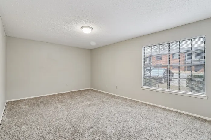 Bright and spacious carpeted room with large window, offering a welcoming atmosphere and natural light.