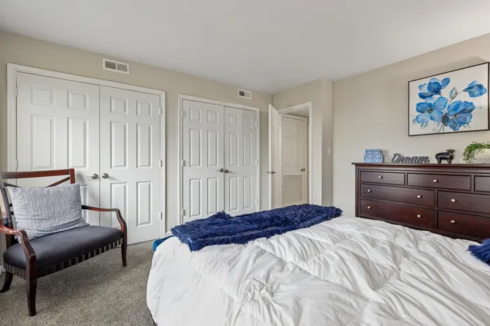 Elegant bedroom featuring a cozy bed with plush blue accents, spacious closet storage, and tasteful decor with modern furnishings.