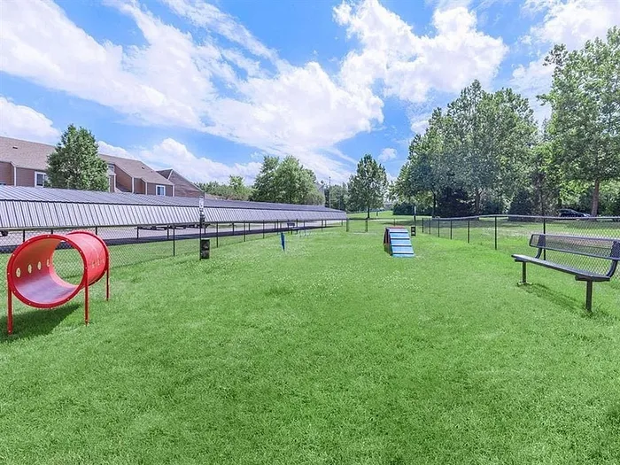 Vibrant pet-friendly backyard showcasing a spacious grassy area with agility equipment, perfect for playful pets, set against a backdrop of lush trees and blue sky.