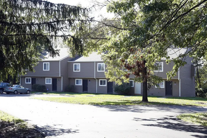 Charming row of modern townhouses surrounded by lush greenery, offering serene and spacious living with easy parking access.