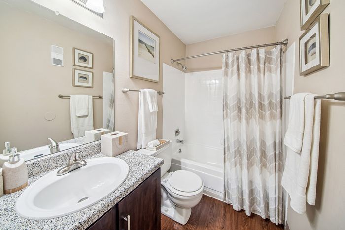 Elegant bathroom with modern fixtures, featuring a granite countertop, stylish vanity, and cozy bathtub with patterned shower curtain, offering a clean and inviting ambiance.