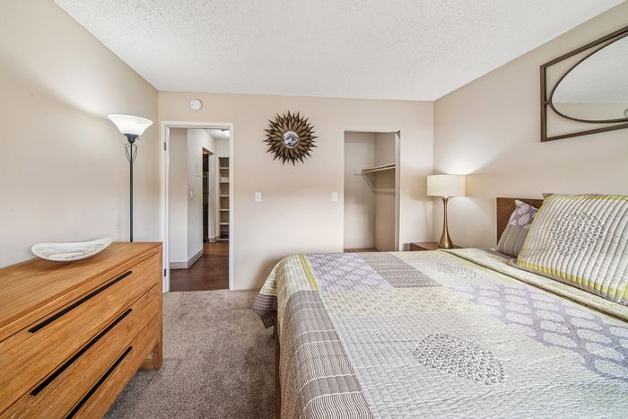 Inviting bedroom with plush carpeting, modern decor, and ample natural light, featuring a stylish bedspread and open closet space.