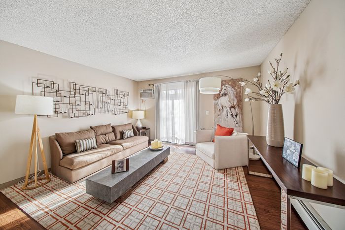 Elegant living room with plush brown sofa, stylish wall decor, and natural light filtering through sheer curtains.