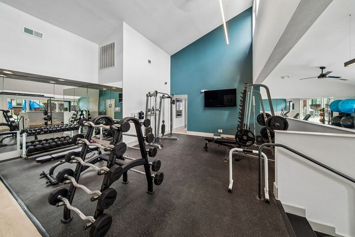 Vibrant fitness center featuring state-of-the-art weightlifting equipment and a modern design with blue accent wall.