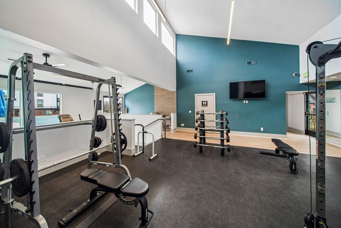 Modern fitness center featuring state-of-the-art gym equipment and vibrant teal walls with natural light streaming in.