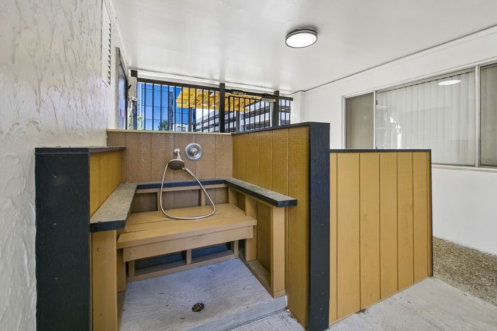 Unique indoor pet washing station with wood paneling and modern fixtures, bright and spacious atmosphere.