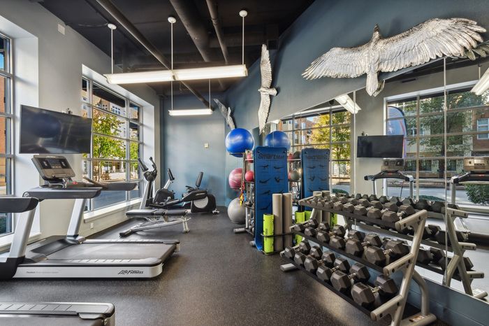 Bright and modern gym with top-tier fitness equipment, including treadmills and weights, complemented by natural light and stylish decor.