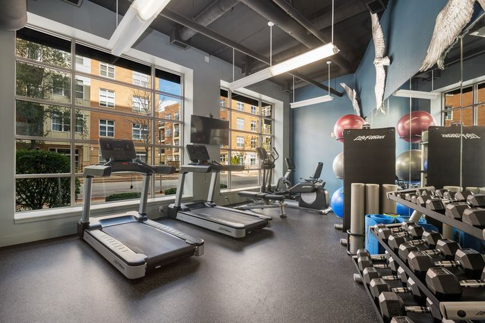 Modern fitness center with natural light, featuring treadmills, exercise equipment, and vibrant workout balls.
