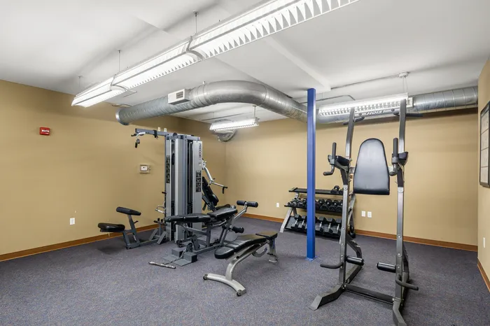 Modern fitness center featuring state-of-the-art gym equipment and free weights, ideal for a comprehensive workout.