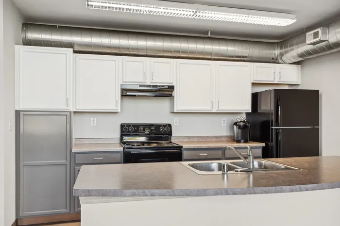 Contemporary kitchen with sleek cabinetry, stainless steel accents, and modern appliances, perfect for stylish living.