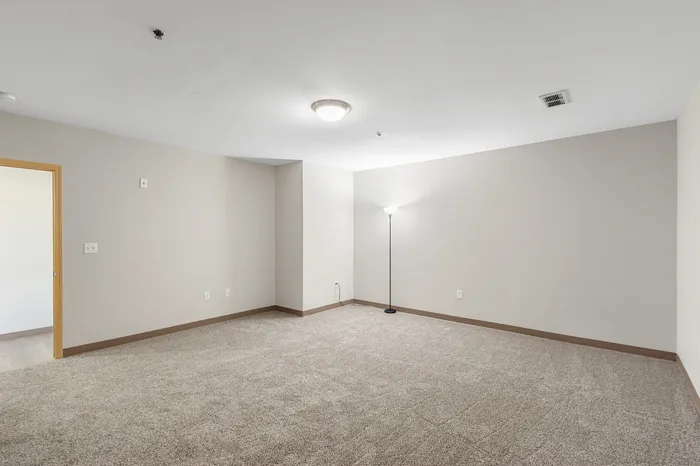 Spacious living area featuring soft carpet flooring, modern lighting, and neutral wall colors, perfect for a cozy yet elegant ambiance.
