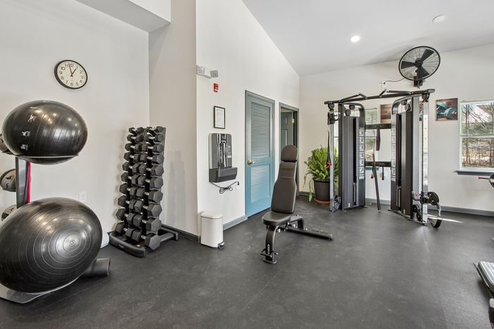 Modern fitness room with sleek equipment, free weights, exercise balls, and lush green plant, ideal for a healthy lifestyle.