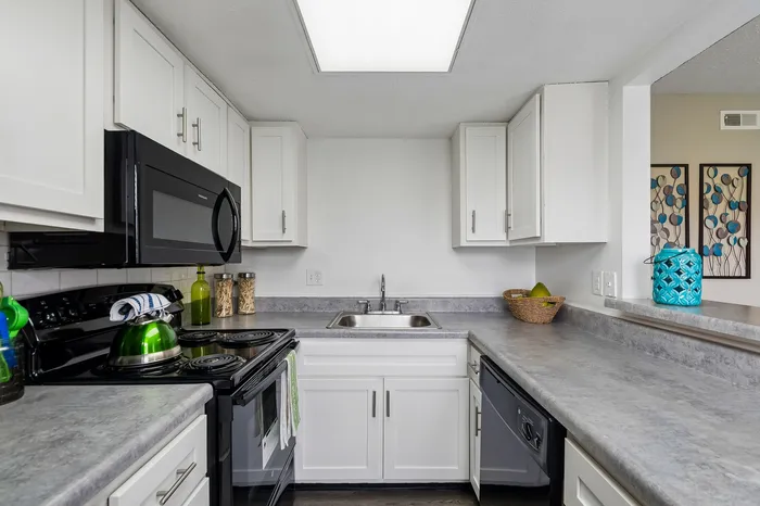 Modern kitchen with sleek black appliances, white cabinetry, and a spacious countertop, accented by vibrant decor pieces.