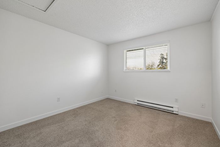 Bright and inviting bedroom featuring soft carpet flooring and a large window with natural light.