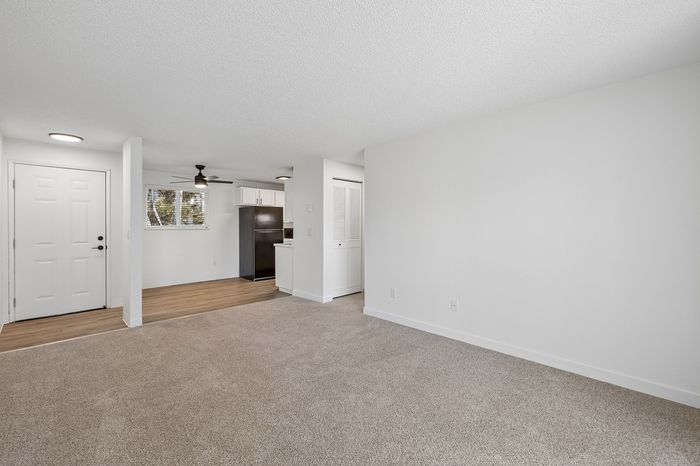 Bright apartment interior with an open layout, featuring a cozy carpeted living space and a sleek kitchen with modern appliances.