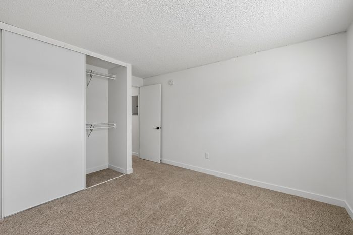 Bright and spacious bedroom with plush carpet and a roomy closet, perfect for comfort and storage.