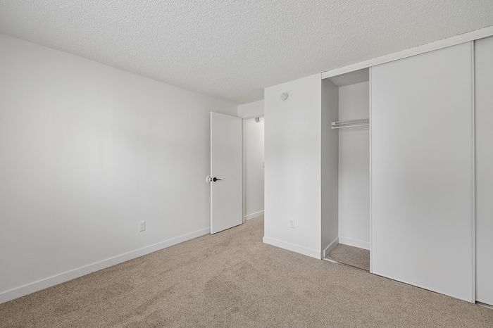 Bright and spacious bedroom with plush carpet, white walls, and a roomy closet for ample storage.