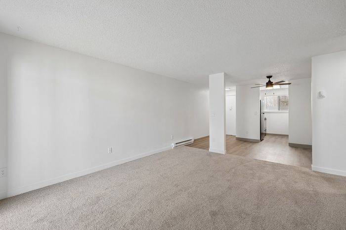 Bright and airy apartment interior with plush carpeted living area leading to an elegant kitchen featuring modern fixtures and ceiling fan.