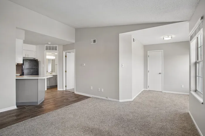 Bright apartment interior showcasing an open layout with a cozy carpeted living area, modern kitchen, and stylish wood flooring accents.