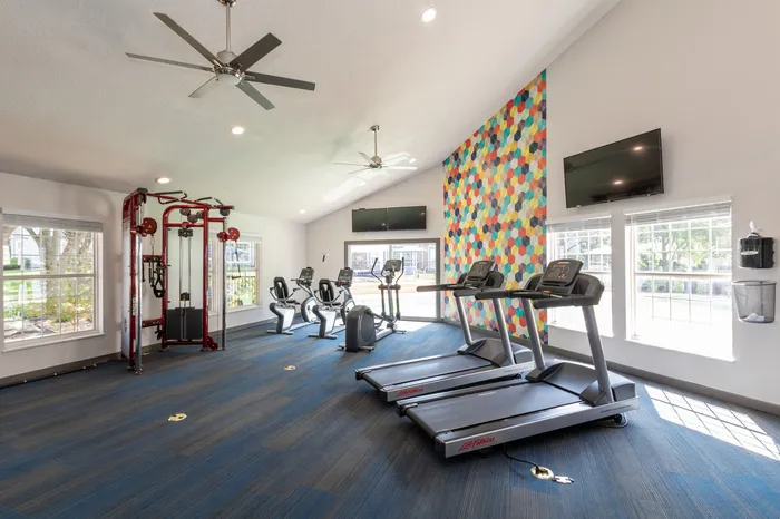 Modern gym with state-of-the-art equipment, bright windows, and vibrant geometric accent wall.