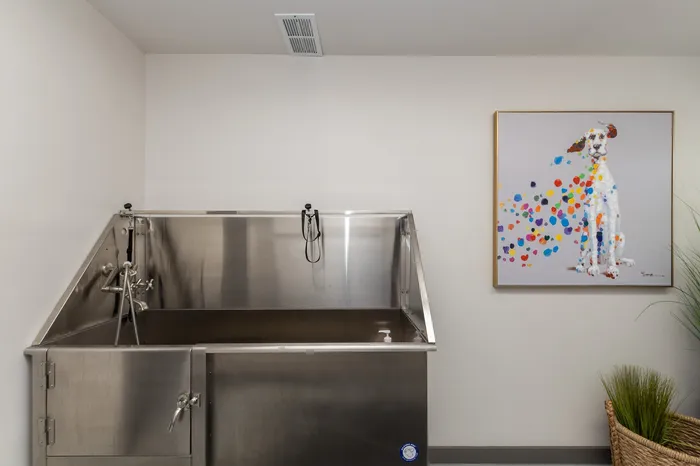 Modern pet wash station with stainless steel tub and vibrant dog artwork, perfect for stylish apartment living.