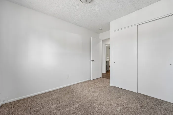 Bright and spacious bedroom featuring plush carpet, sleek white walls, and a convenient built-in closet.