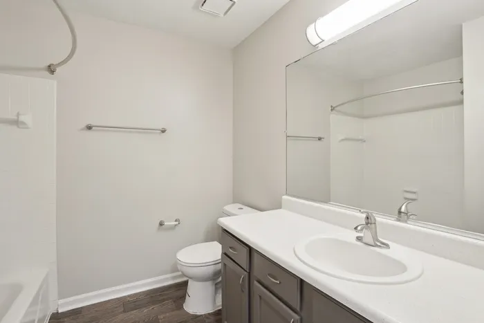 Modern bathroom with sleek fixtures, spacious countertop, and elegant wood flooring.
