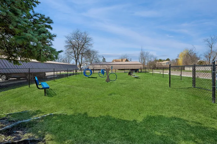 Expansive green dog park with playful blue agility equipment, surrounded by secure fencing and cozy seating under sunny skies.