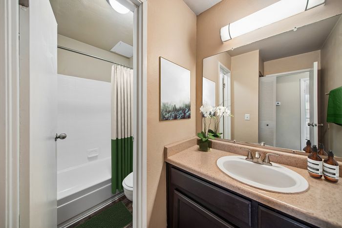 Elegant bathroom with modern fixtures, featuring a spacious vanity, stylish mirror, and relaxing bathtub complemented by soothing decor.