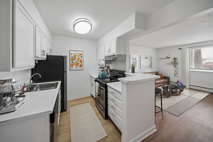 Modern open-concept apartment kitchen and cozy living room with stylish decor, offering ample natural light and a welcoming atmosphere.