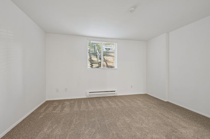Bright, spacious room with fresh carpet and a large window filling the space with natural light.