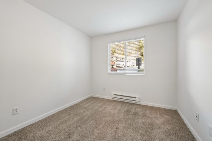 Bright and airy bedroom with plush carpeting and a large window for abundant natural light.