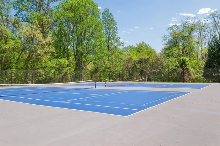 Vibrant outdoor tennis court surrounded by lush trees, offering a perfect space for sports enthusiasts.