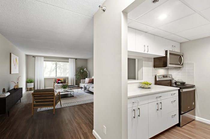 Bright open-concept apartment with modern kitchen and cozy living room, featuring stylish furniture and natural light.