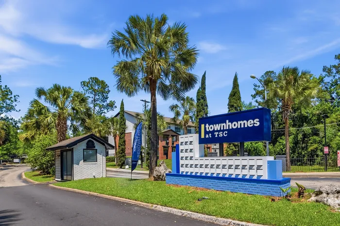 Inviting entrance to Townhomes at TSC, featuring well-maintained landscaping and elegant palm trees under a clear blue sky.