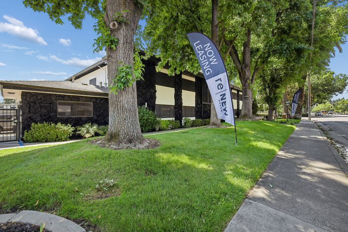 Charming apartment exterior with lush green landscaping, mature trees, and clear blue skies, featuring a prominent 'Now Leasing' flag.