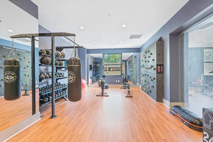Modern fitness center featuring a climbing wall, punching bags, and a well-equipped weight area with vibrant natural light.